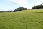 120604_jubilee 009.jpg