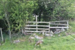 120604_jubilee 010.jpg