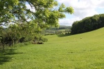 120604_jubilee 013.jpg