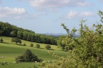 120604_jubilee 019.jpg