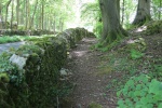 120604_jubilee 020.jpg
