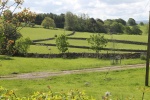 120604_jubilee 021.jpg