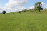 120604_jubilee 026.jpg