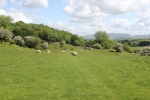 120604_jubilee 027.jpg