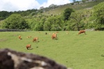 120604_jubilee 029.jpg