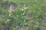 120604_jubilee 033.jpg