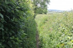 120604_jubilee 037.jpg