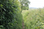 120604_jubilee 038.jpg