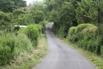 120610_bridges 012.jpg