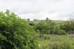 120610_bridges 013.jpg