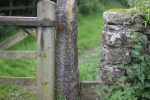 120610_bridges 016.jpg