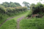 120610_bridges 017.jpg