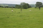 120610_bridges 019.jpg