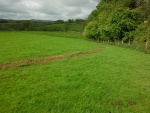 140506_pheasent field 04.jpg