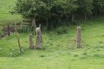 120610_bridges 021.jpg