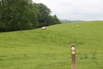 120610_bridges 022.jpg