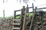 120610_bridges 024.jpg