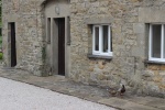 120610_bridges 028.jpg