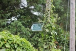 120610_bridges 029.jpg