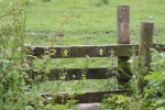 120610_bridges 030.jpg