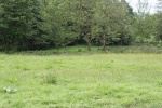 120610_bridges 031.jpg
