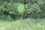 120610_bridges 032.jpg