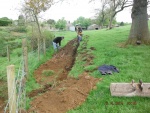 140506_pheasent field 06.jpg