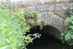 120610_bridges 042.jpg