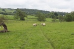 120610_bridges 043.jpg