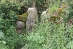 120610_bridges 044.jpg