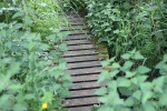 120610_bridges 045.jpg
