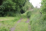 120610_bridges 046.jpg