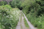 120610_bridges 055.jpg