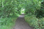 120610_bridges 059.jpg