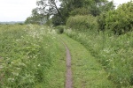 120610_bridges 060.jpg