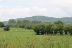 120610_bridges 061.jpg
