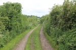 120610_bridges 062.jpg