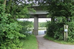 120610_bridges 079.jpg