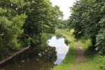 120610_bridges 084.jpg