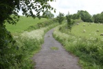 120610_bridges 087.jpg