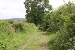 120610_bridges 089.jpg