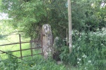 120610_bridges 090.jpg