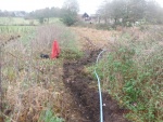 141104_barn 01.jpg