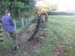 141105_barn_borwick_feed 02.jpg
