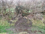 141119_barn 02.jpg